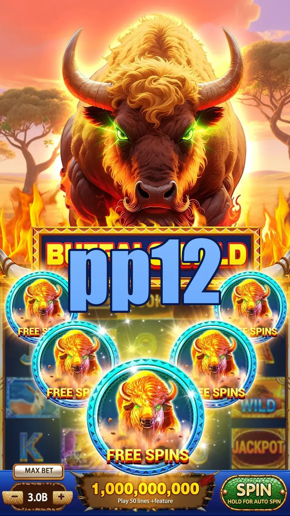pp12 APK